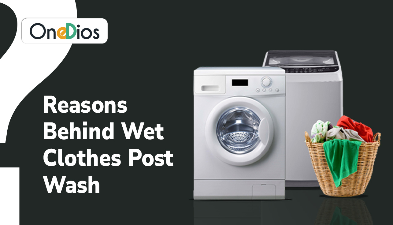 Reasons Behind Wet Clothes Post-Wash